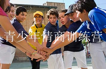 青少年情商训练营